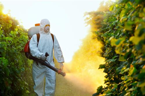 Tarım Sektöründe Kullanılan Farklı Güvenli İş Kıyafetleri Türleri