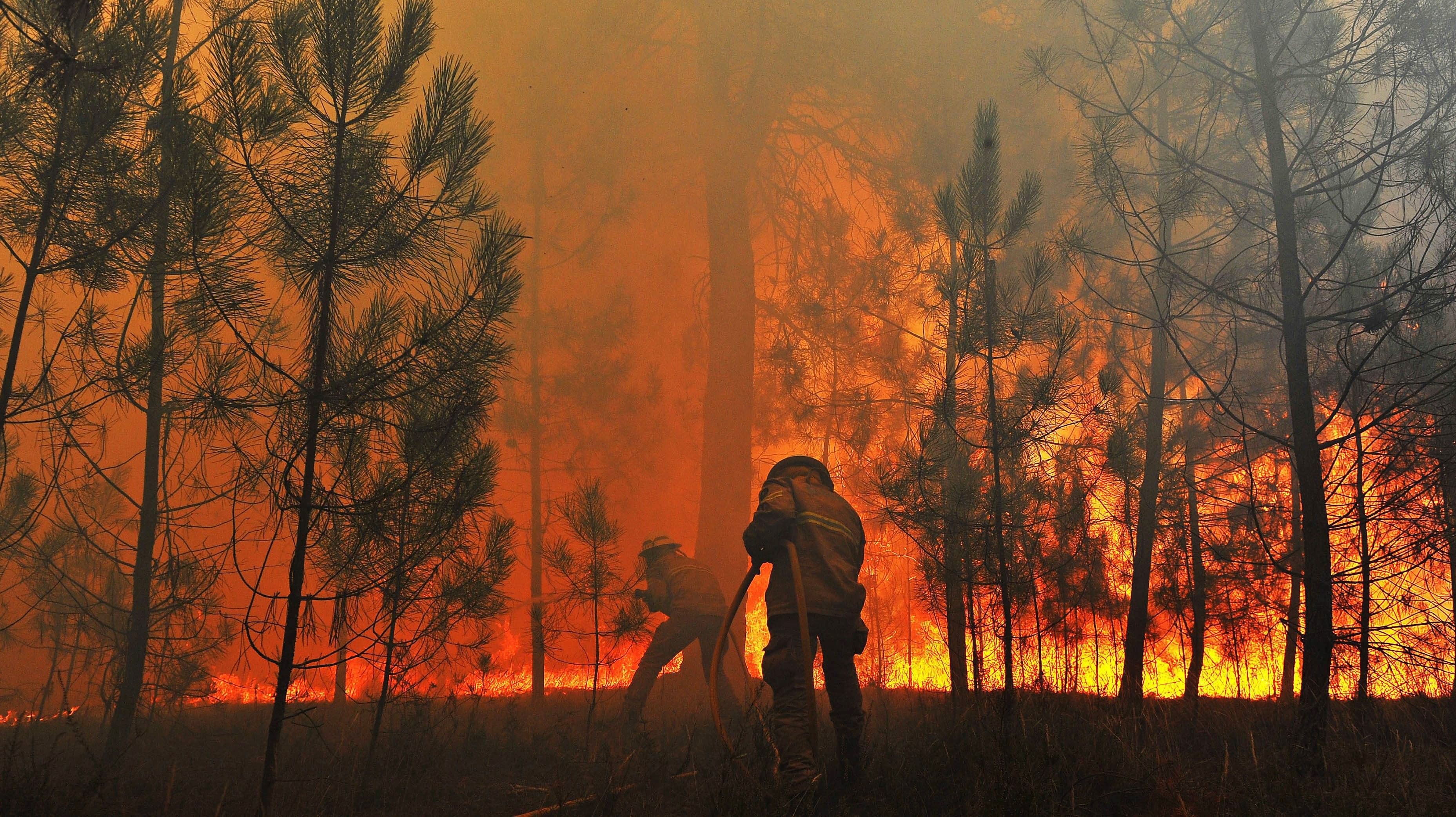 Он сумел выбраться из окружения. Пожар в лесу. Лес в огне. Лесные пожары в России. Пожарный в горящем лесу.