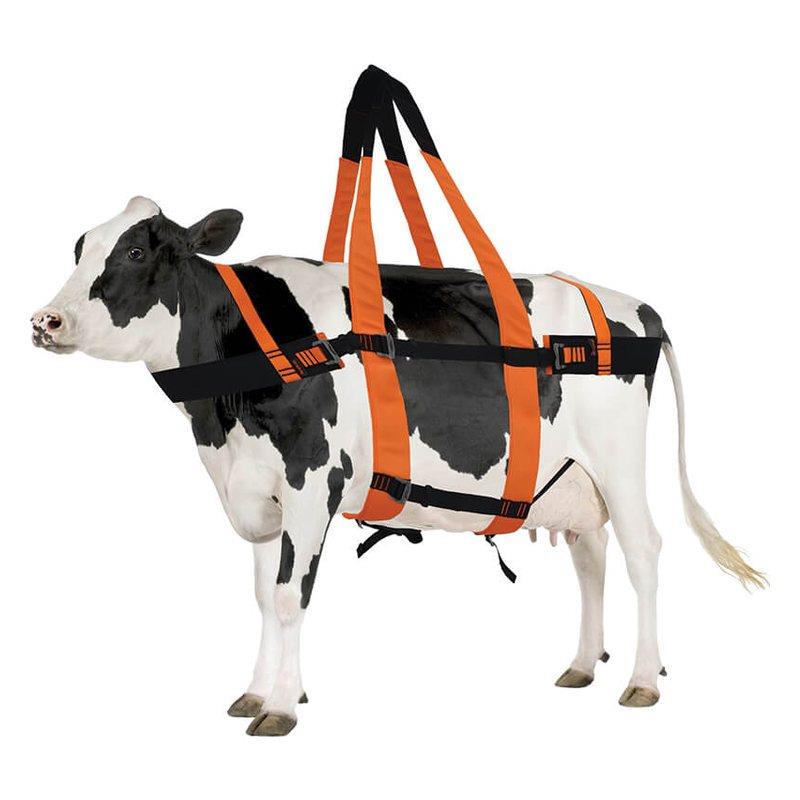 Kaya Safety BOVINE RESCUE Büyük Baş Hayvan Kurtarma Kemeri
