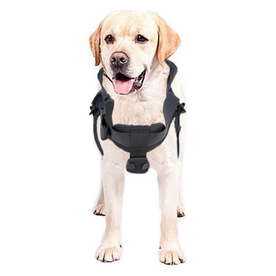 Kaya Safety DH-30 Köpek Kurtarma Kemeri