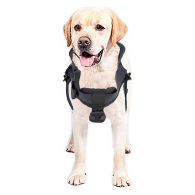 Kaya Safety DH-30 Köpek Kurtarma Kemeri